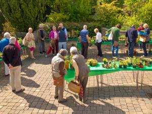 Hungerford Rotary Club"™s charity plant sale